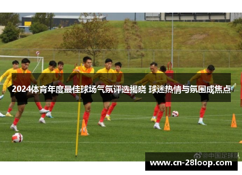 2024体育年度最佳球场气氛评选揭晓 球迷热情与氛围成焦点