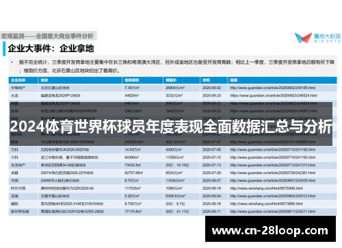 2024体育世界杯球员年度表现全面数据汇总与分析