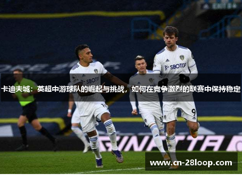 卡迪夫城:英超中游球队的崛起与挑战,如何在竞争激烈的联赛中保持稳定 卡迪夫城:英超中游球队的崛起与挑战,如何在竞争激烈的联赛中保持稳定