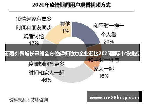 新春外贸增长策略全方位解析助力企业迎接2025国际市场挑战